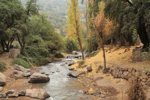 Santuario de la Naturaleza, lugar ideal para hacer pic nic en Santiago